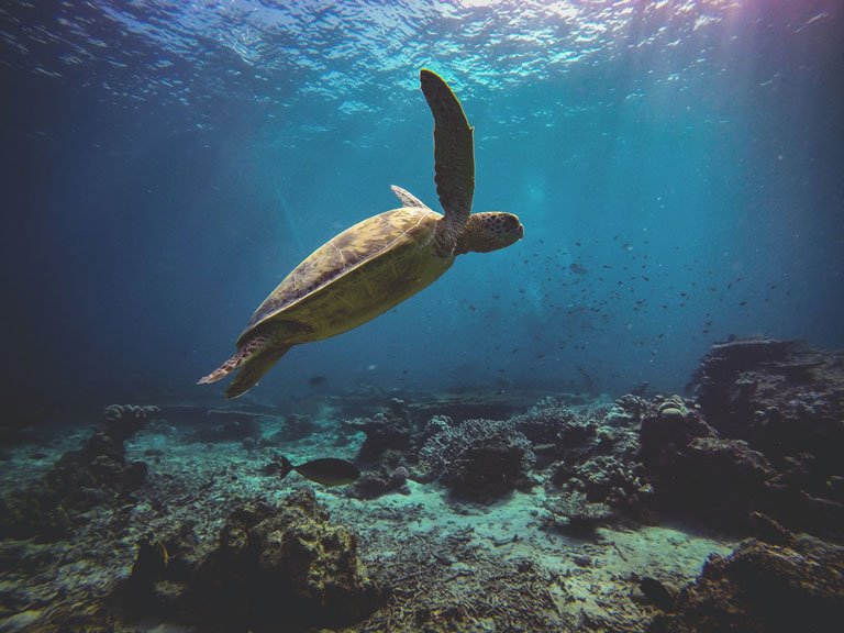 top volunteer destinations travel make difference