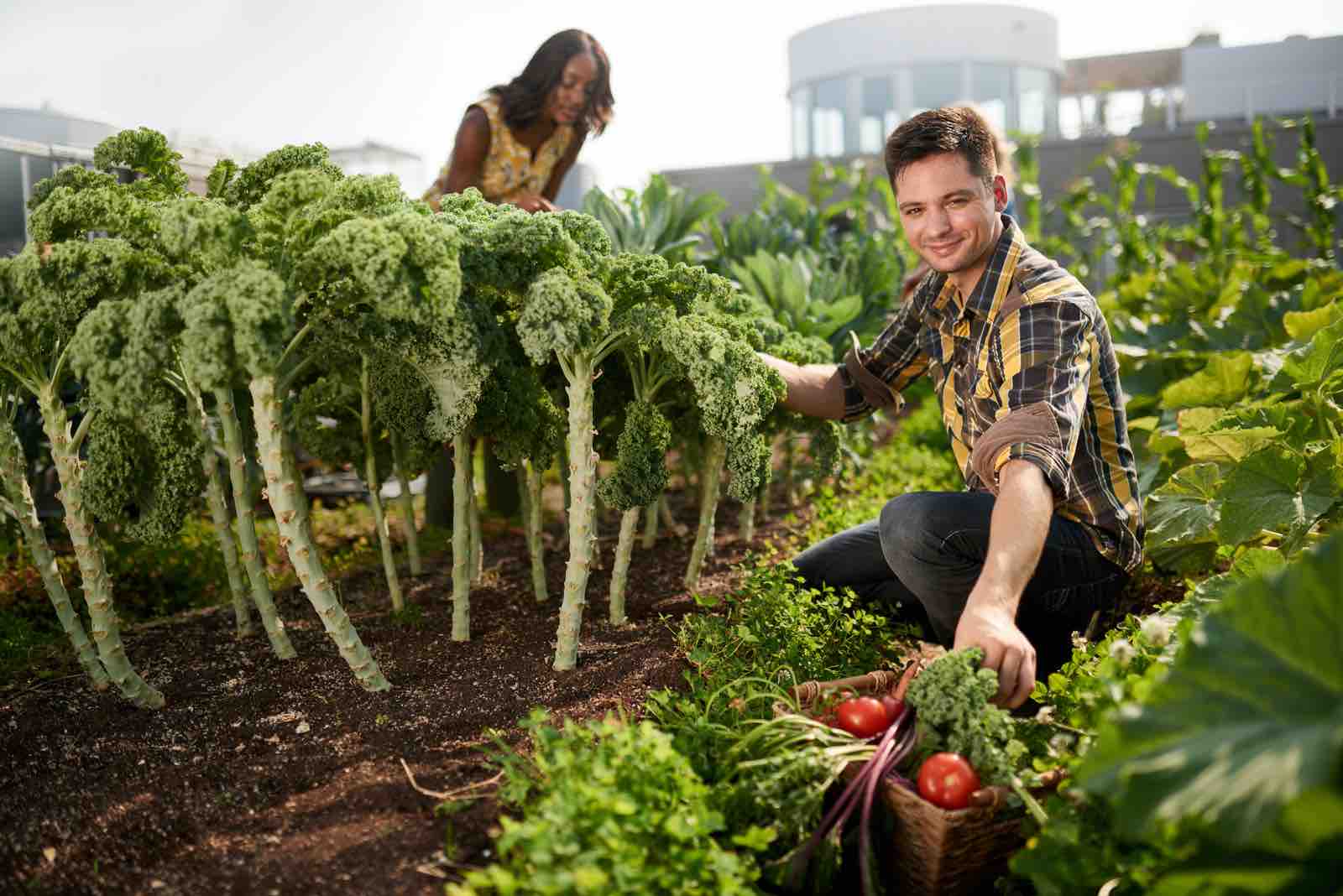 Amazing Advantages of Hyperlocal Food Movement