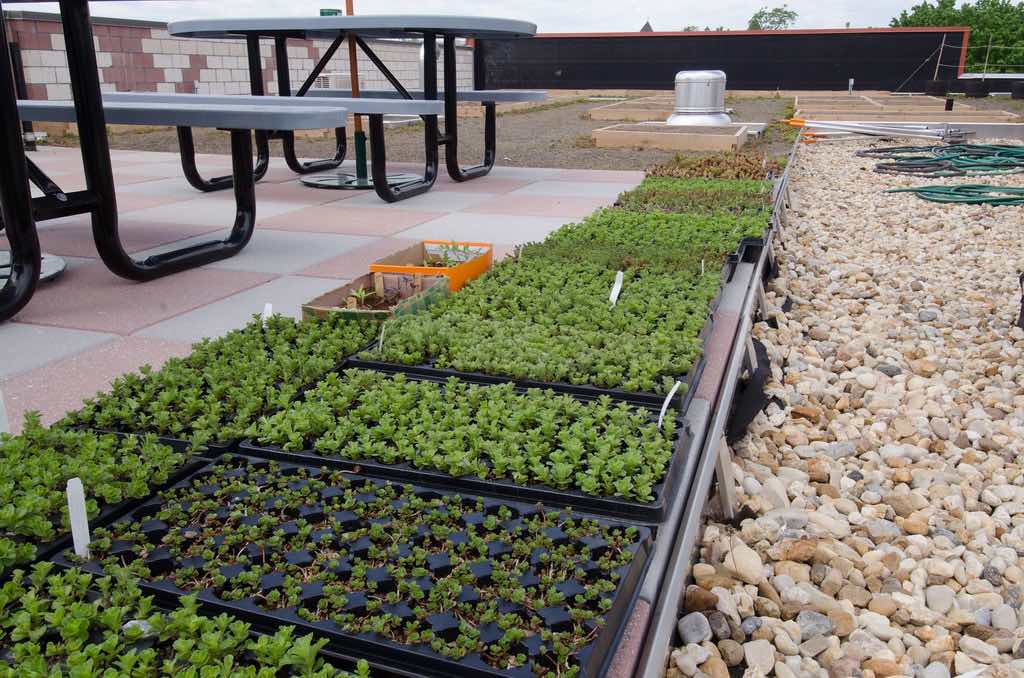How to Live Sustainably Off The Grid