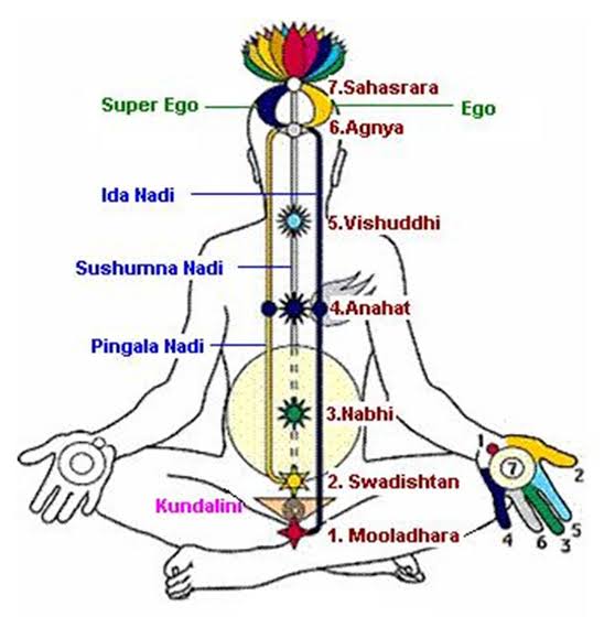 understand seven chakras meaning nadis