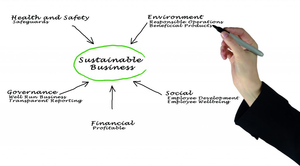 What is a sustainable business?