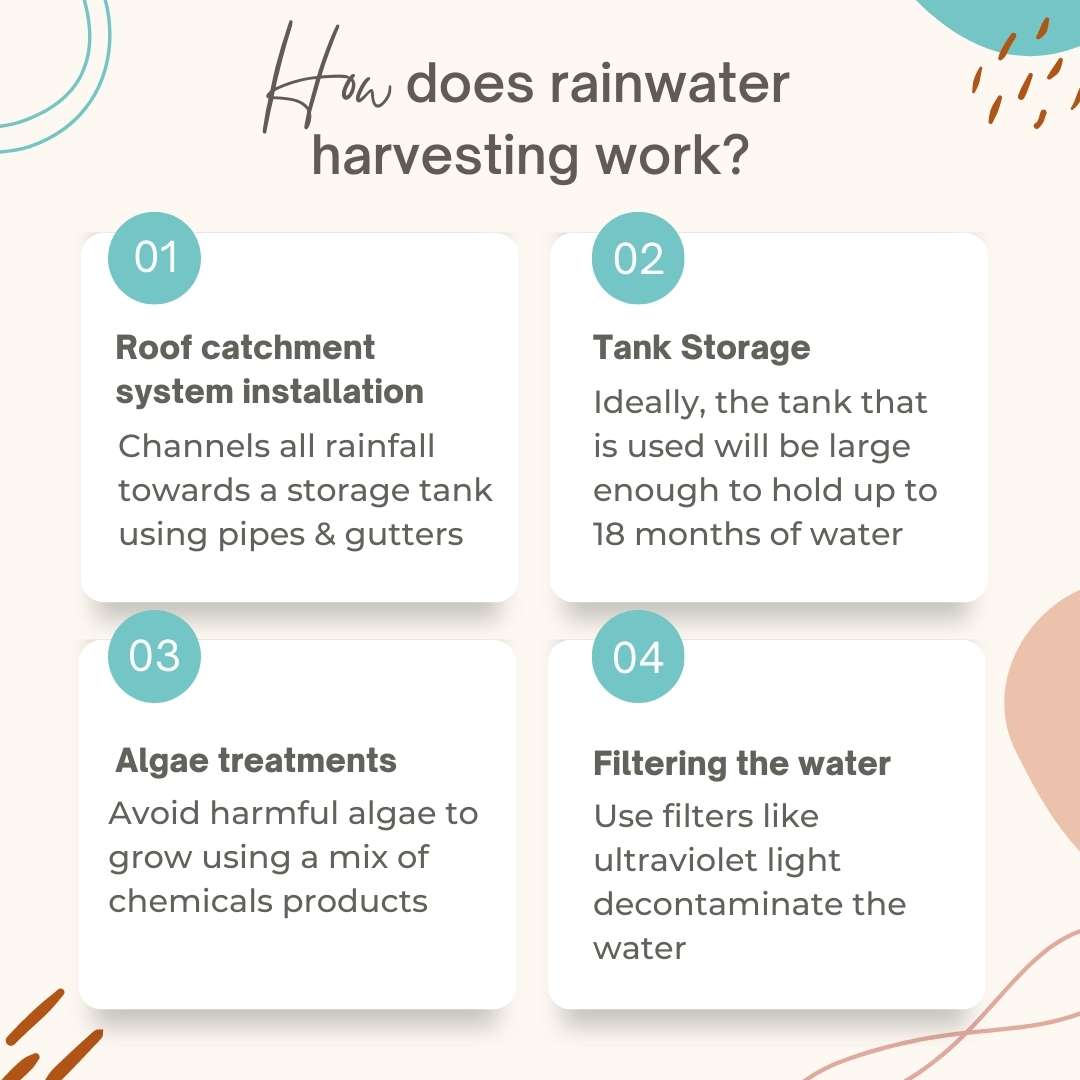 How to harvest rainwater, uses and advantages