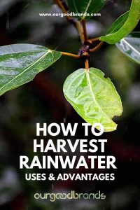 How to harvest rainwater, uses and advantages