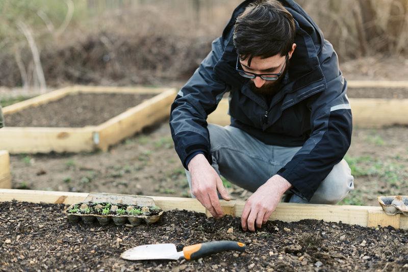 How to start composting for beginners