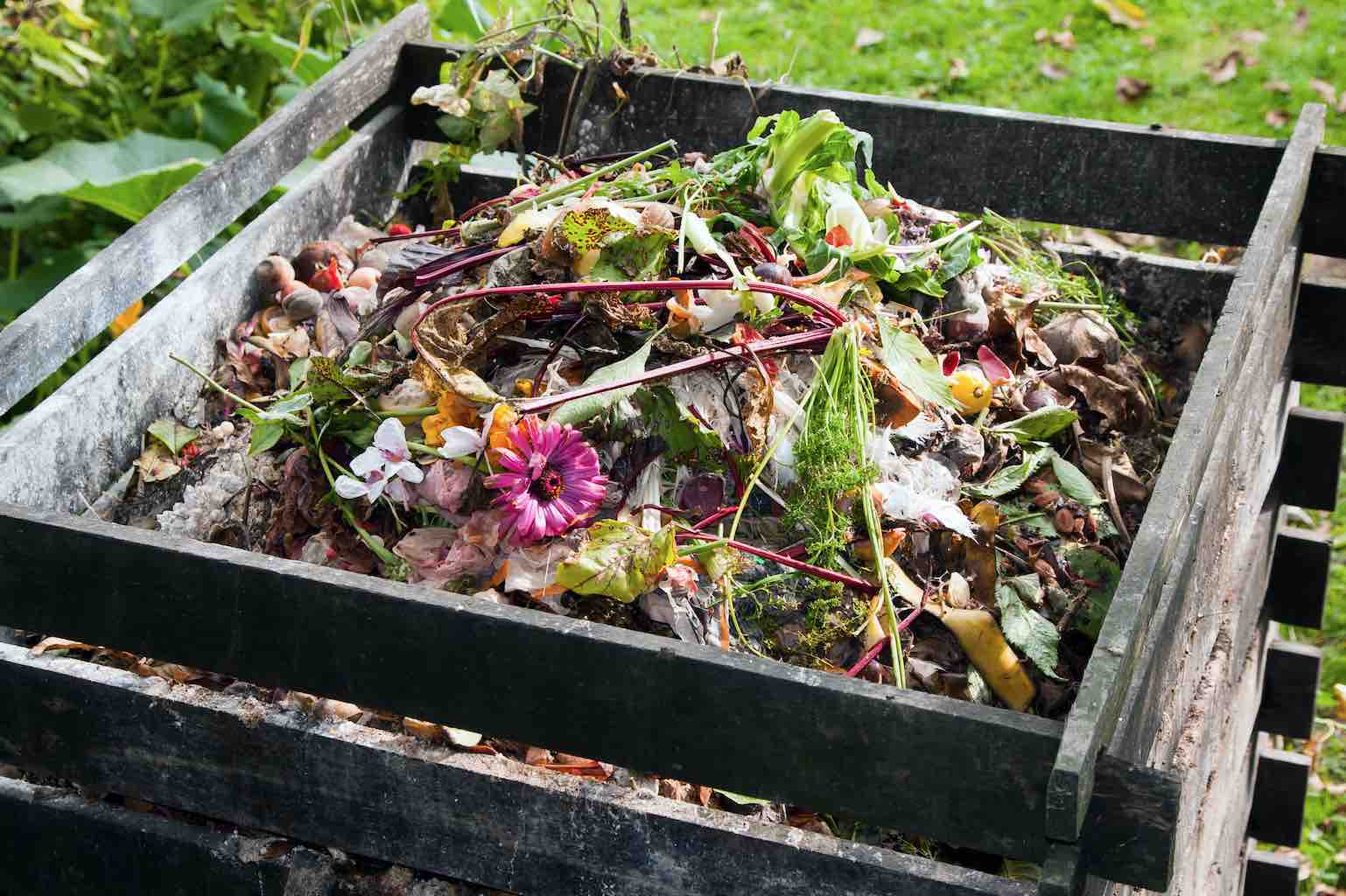 How to start composting for beginners