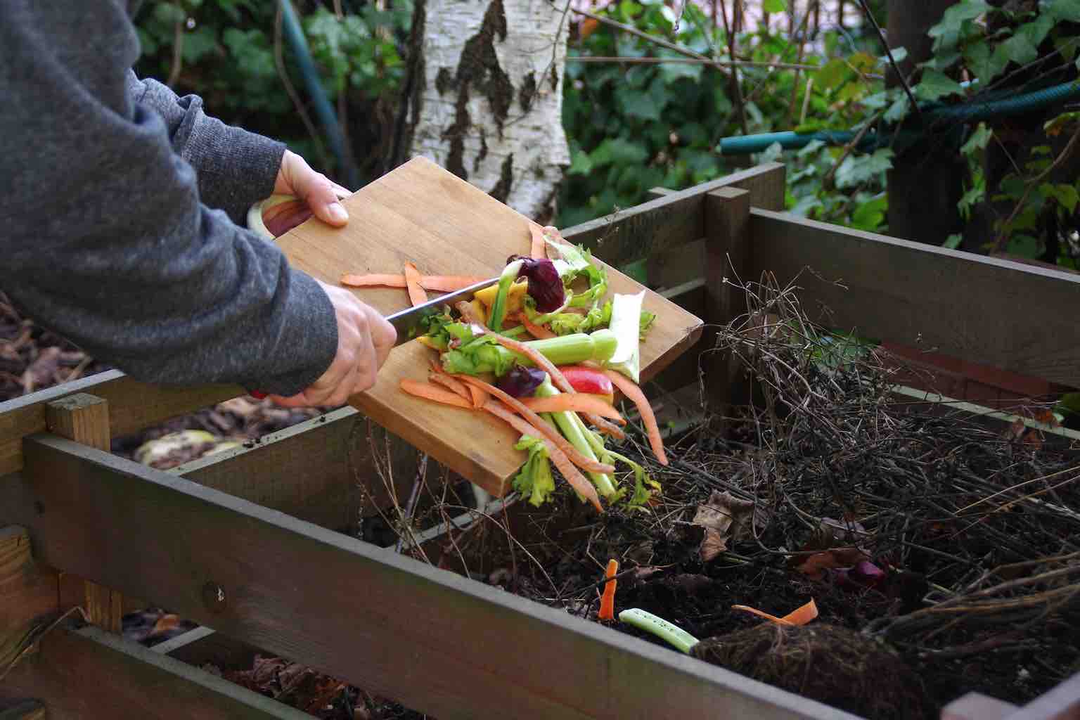How to start composting for beginners