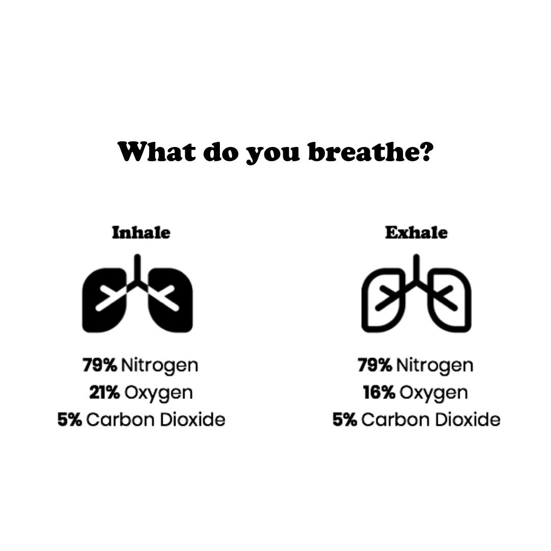 ultimate guide understanding eight limbs yoga