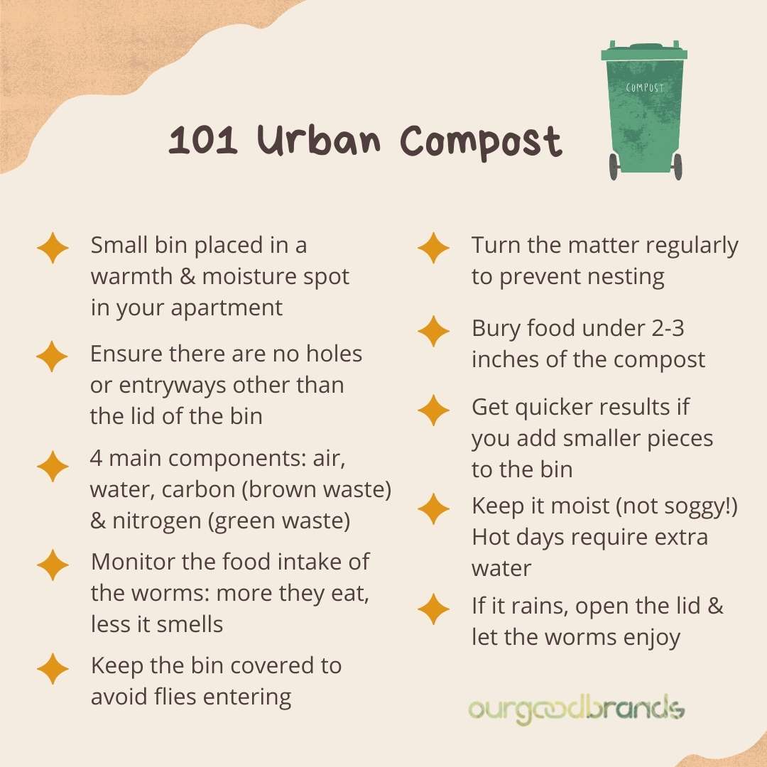 Urban composting: the 101 guide for those who live in a city