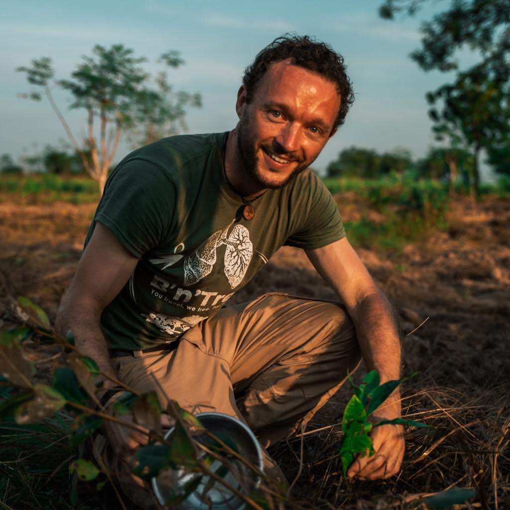 5 Top environmental benefits of planting trees