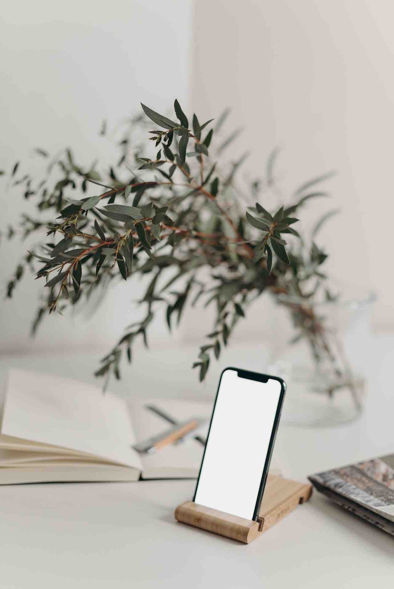 9 Reasons why sustainability is better for your business