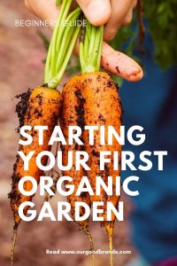 Starting your first organic garden: a beginners guide
