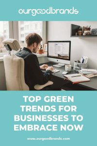 Top green trends for businesses to embrace now