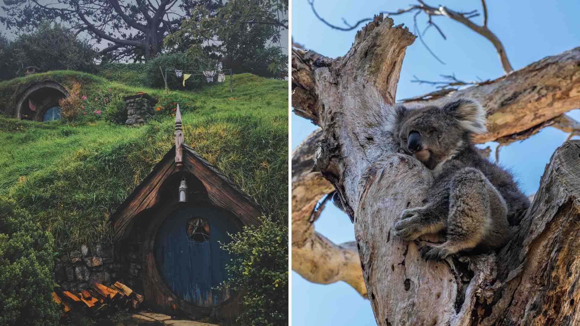 6 Amazing ecotourism experiences in New Zealand & Australia