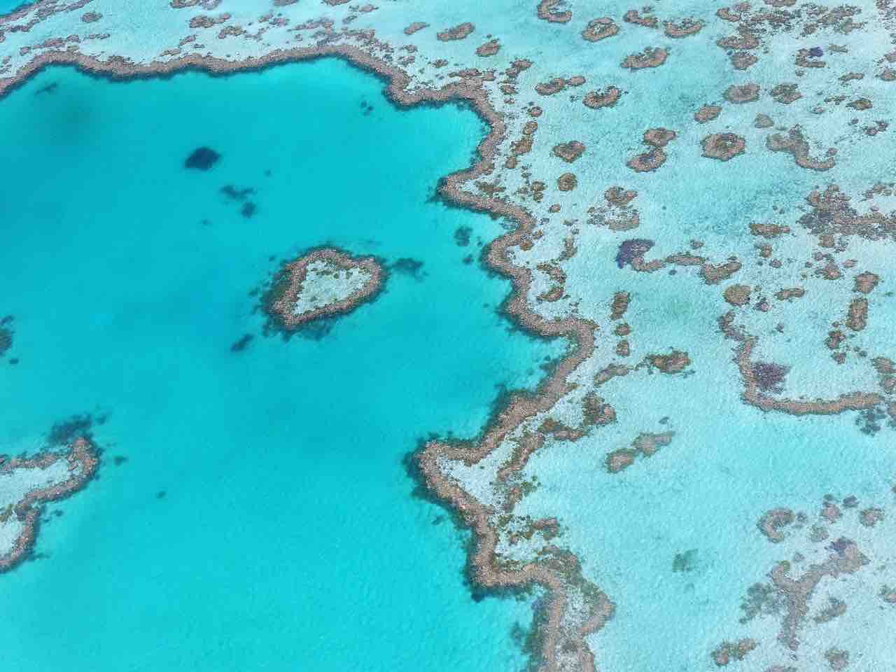 6 Amazing ecotourism experiences in New Zealand & Australia