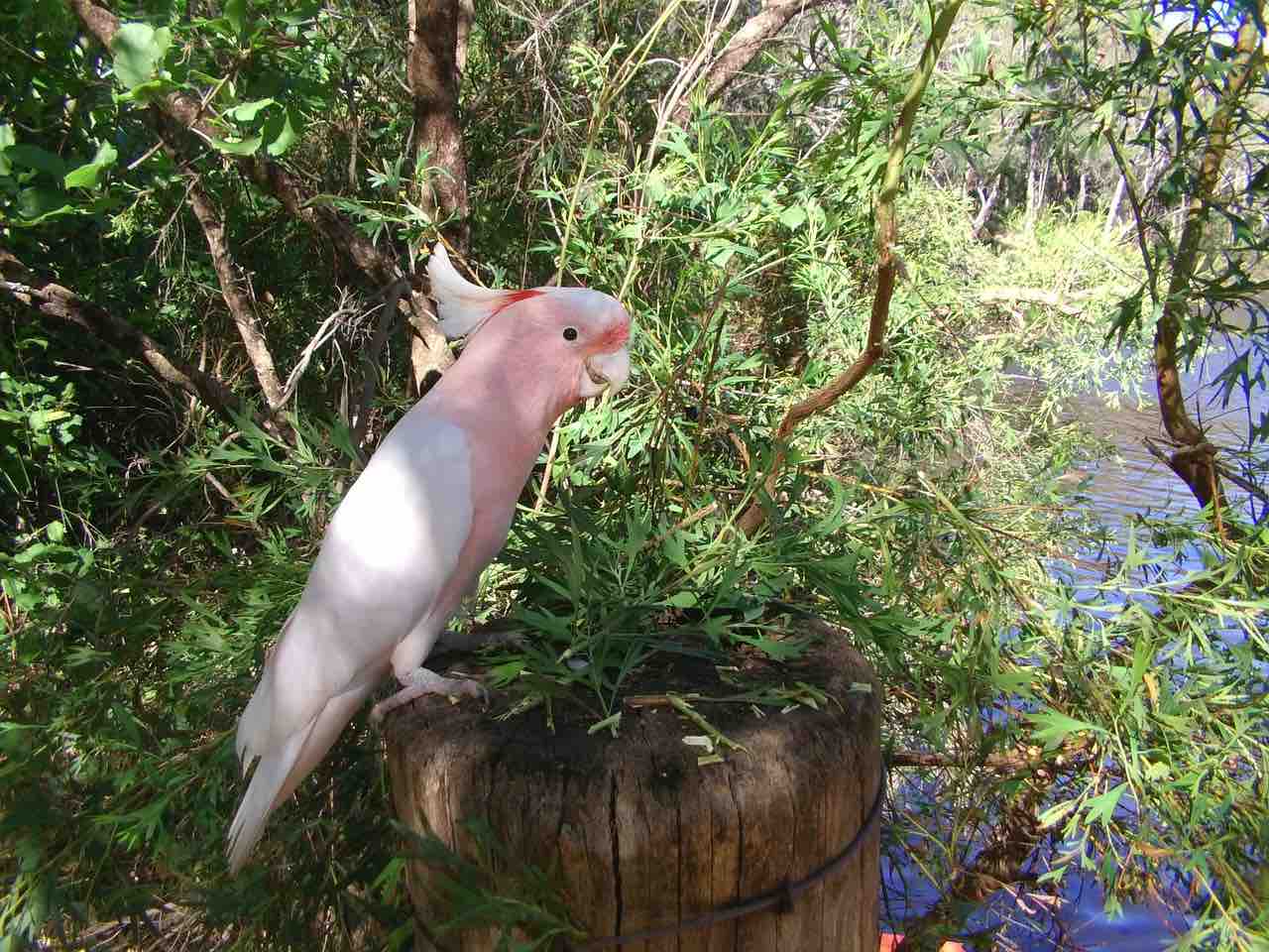 6 Amazing ecotourism experiences in New Zealand & Australia