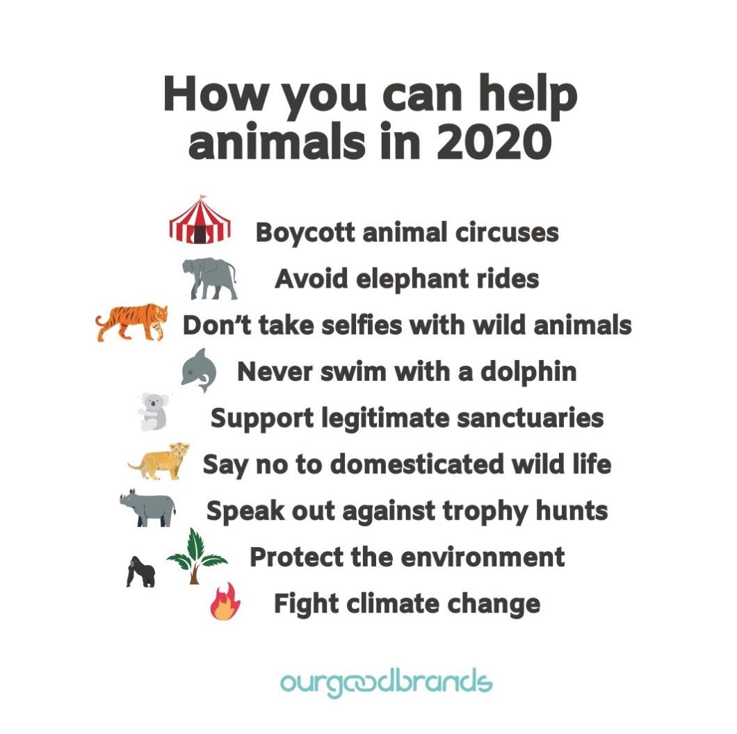 9 Ways to protect the animals & wildlife