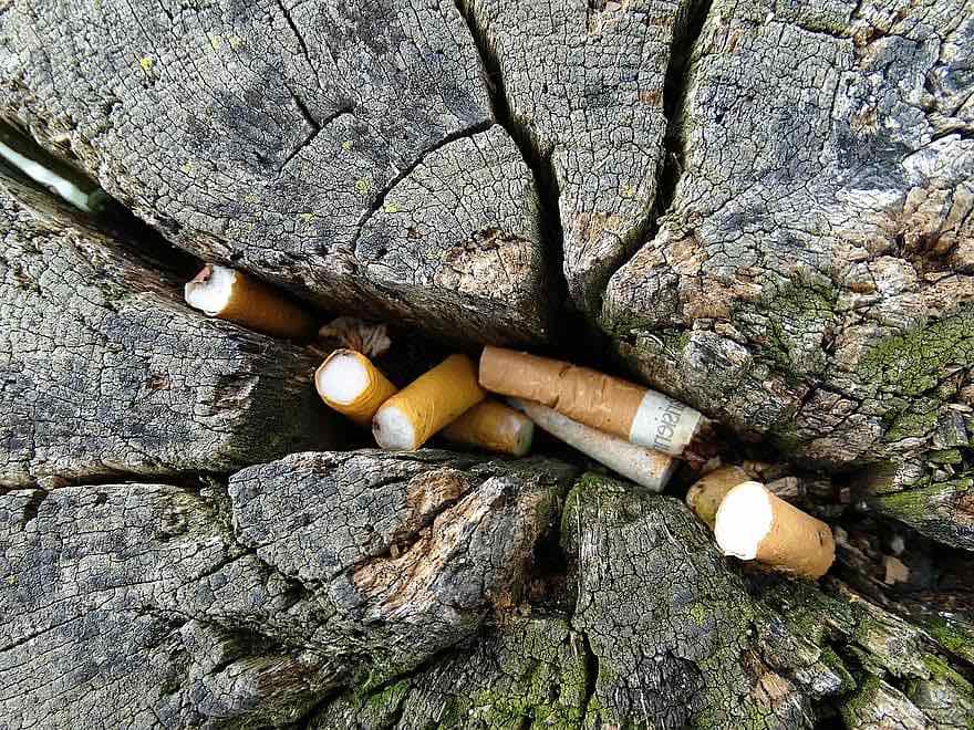 Cigarette butt pollution: an environmental and health crisis