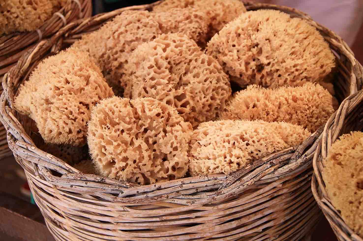 5 Natural products to fit into your daily beauty & wellness routine