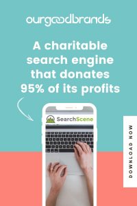 A charitable search engine that donates 95% of its profits