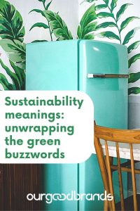 Sustainability meanings: unwrapping the green buzzwords