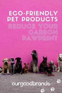 Eco-friendly pet products to reduce your carbon pawprint!