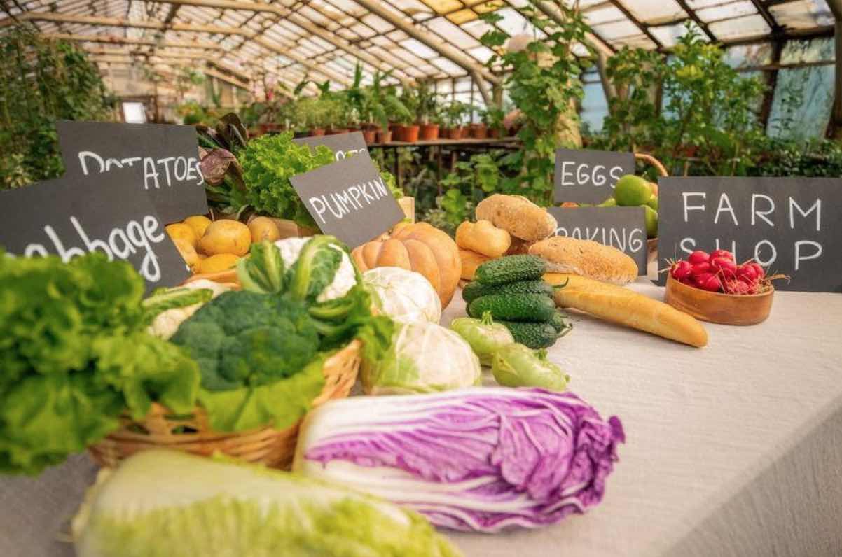 8 Sustainable business ideas for eco-minded entrepreneurs