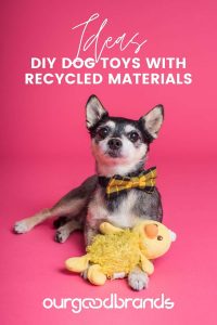 5 DIY dog toys ideas made out of recycled old materials
