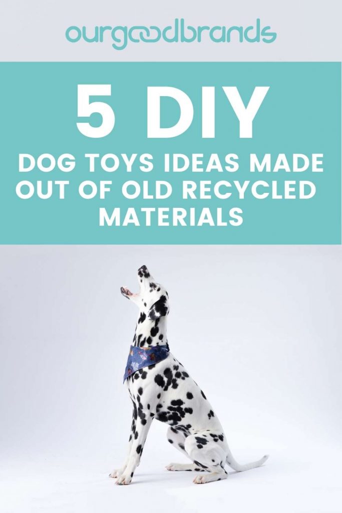 5 DIY dog toys ideas made out of recycled old materials