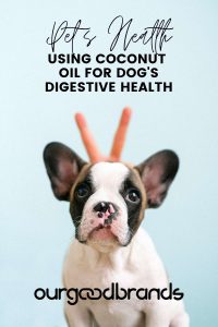 Coconut oil for dogs: improve immune system & digestive health