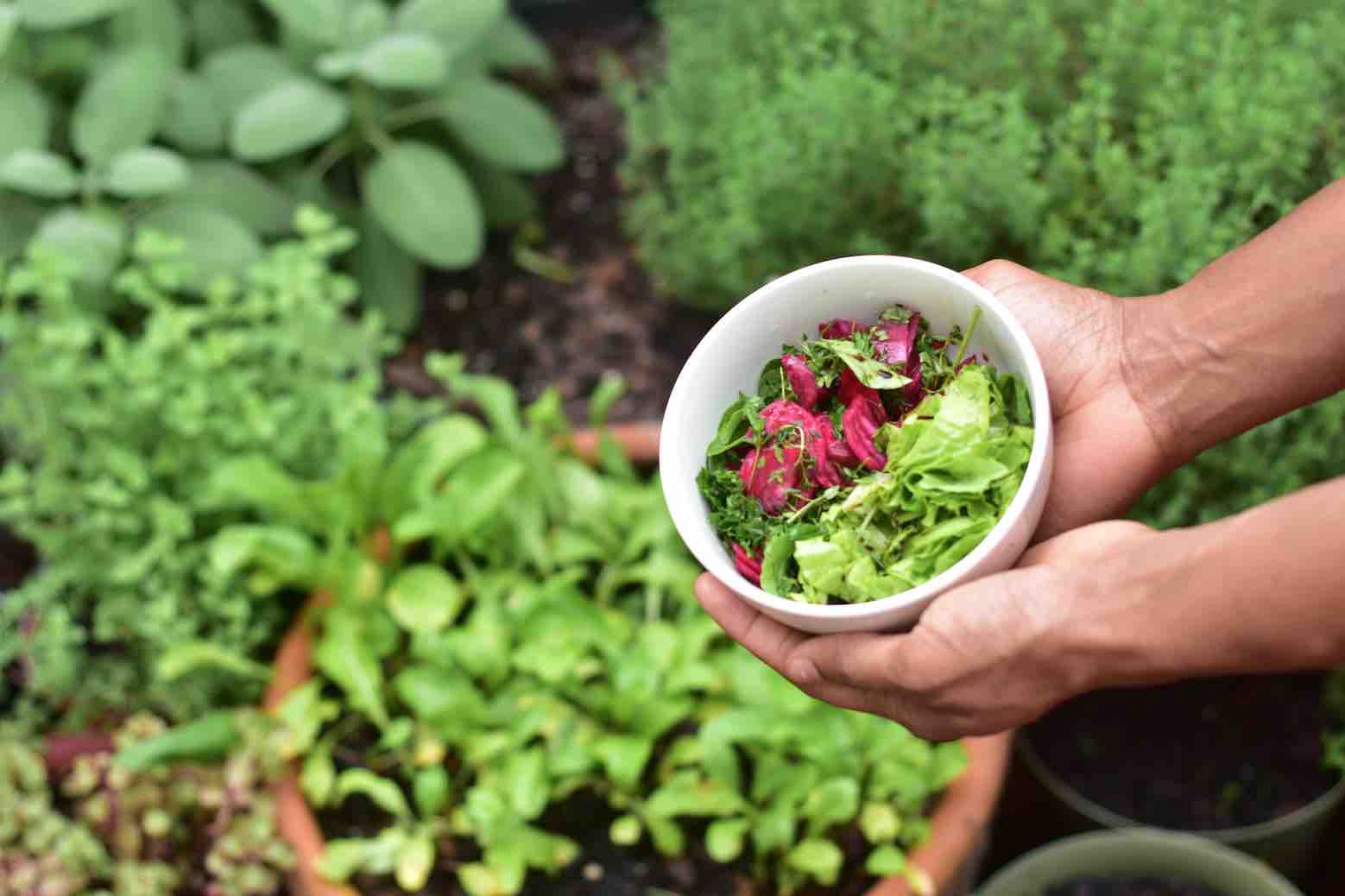 8 Practical ways to reduce your carbon footprint with your food