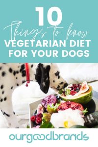 10 Things to know about a vegetarian diet for your pets