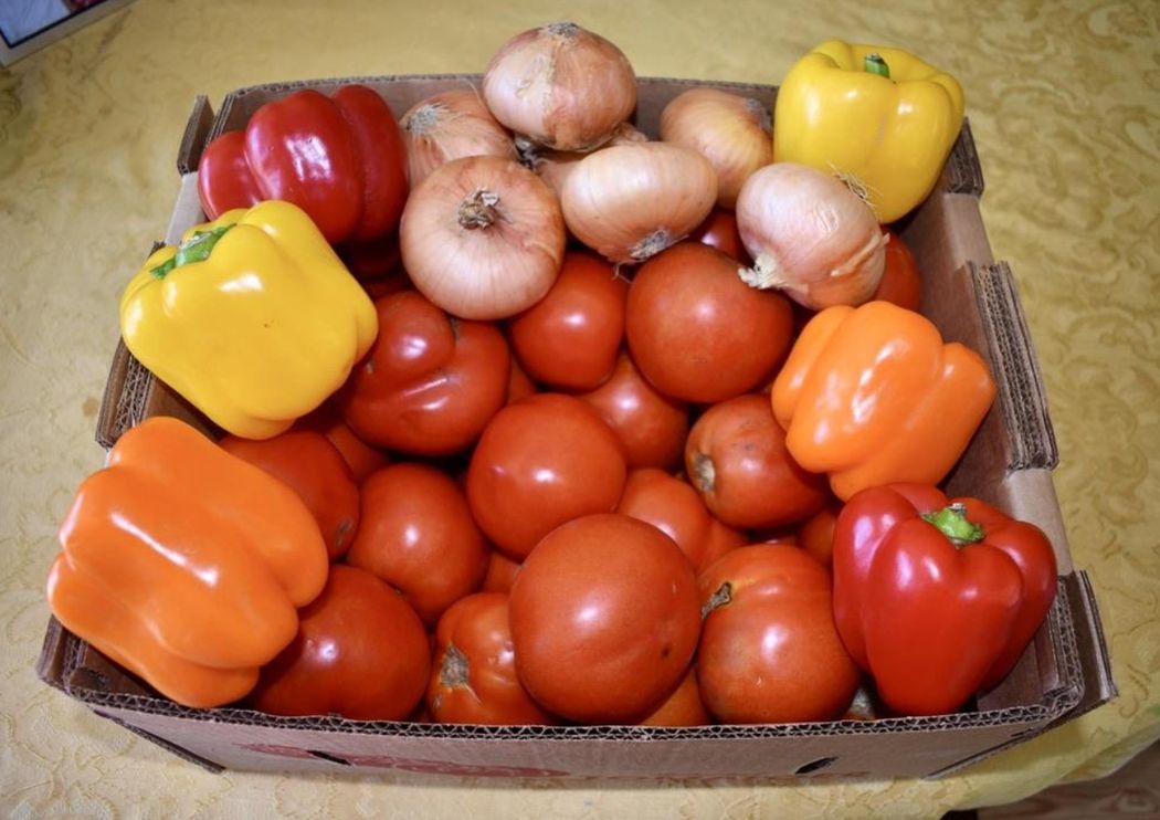 A Beginner’s Guide to Canning Food