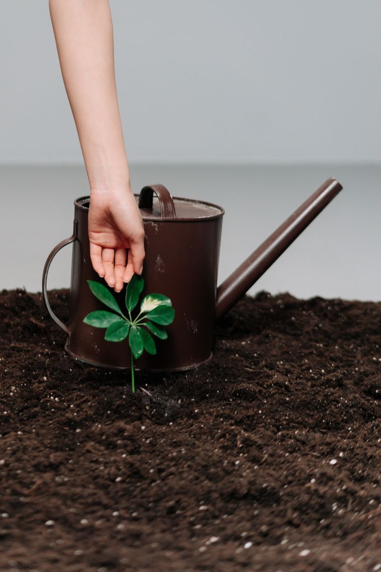 Urban composting: the 101 guide for those who live in a city