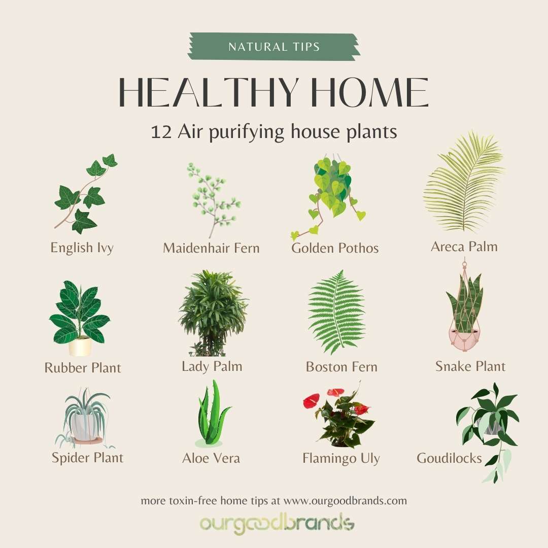 6 Tips to create the sustainable home office you’ve always dreamt of!