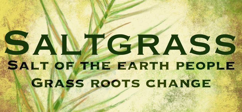 5 Sustainability podcasts positively sharing eco-wins & world solutions