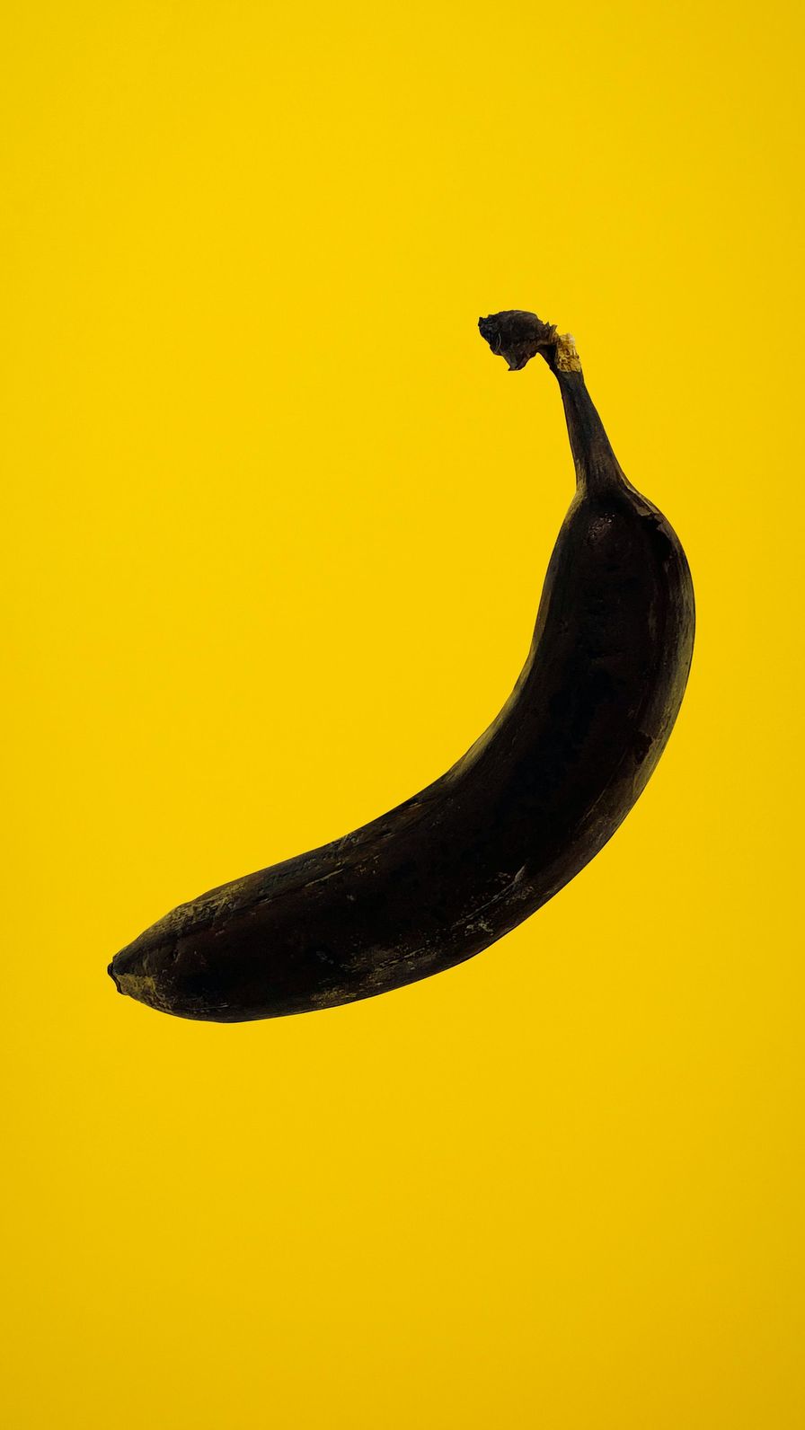 The 3 Earth-friendly ways to eat healthier without giving up deliciousness
