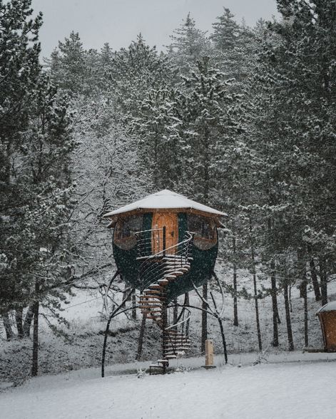 Building your dream sustainable tiny home