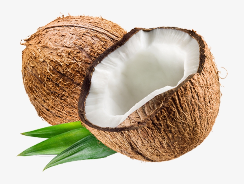 Coconut Carrier Oil - A Guide on Natural Carrier Oils for Your DIY Beauty Products