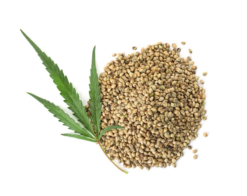 Hemp Seed Carrier Oil - A Guide on Natural Carrier Oils for Your DIY Beauty Products