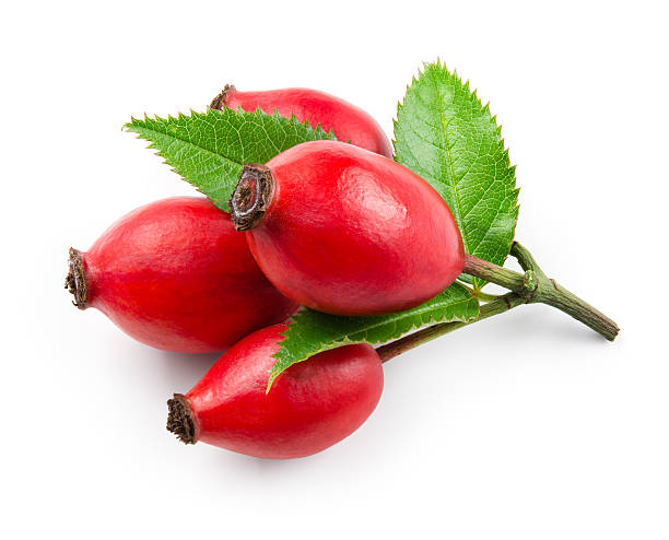 Rosehip Carrier Oil - A Guide on Natural Carrier Oils for Your DIY Beauty Products