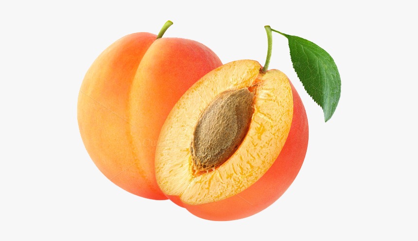 Apricot Kernel Carrier Oil - A Guide on Natural Carrier Oils for Your DIY Beauty Products