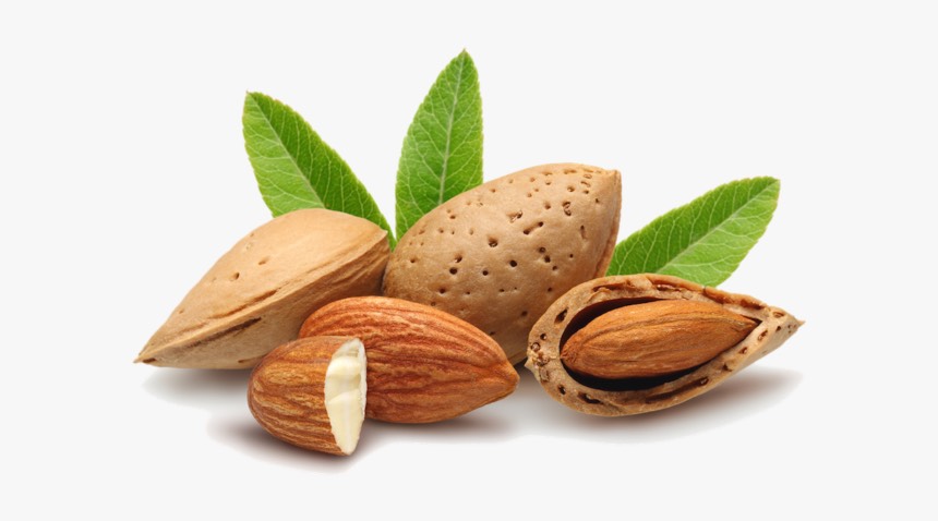 Sweet Almond Carrier Oil - A Guide on Natural Carrier Oils for Your DIY Beauty Products