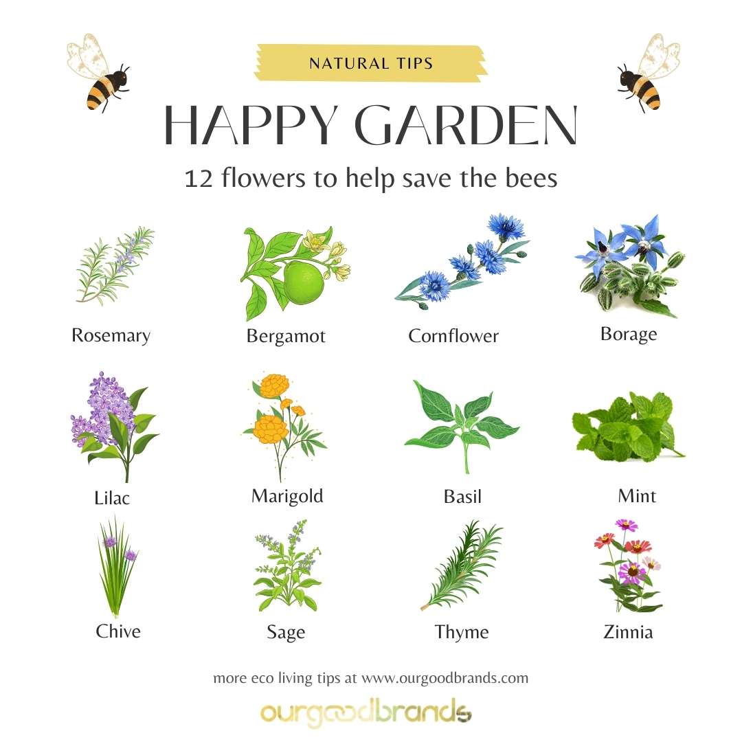 How to Start Your Own Bee Farm in Your Backyard