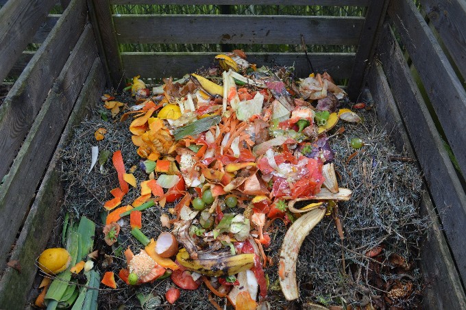 Is Compostable Clothing the Next Sustainable Trend?