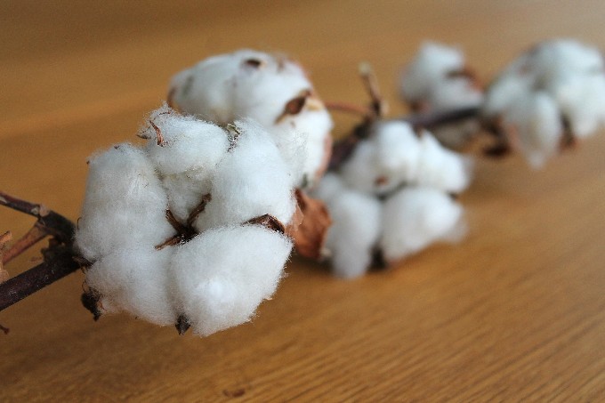 Is Compostable Clothing the Next Sustainable Trend?