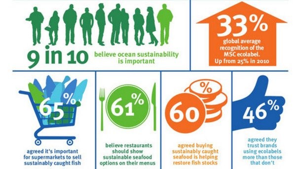 The Evolution of Sustainable Living: Trends & Insights