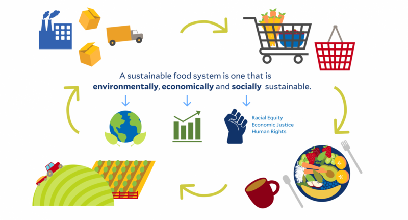 The Evolution of Sustainable Living: Trends & Insights