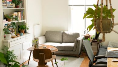 Designing with Nature: Greener Choices for Everyday Spaces