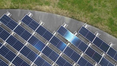 The Role of Microgrids in a Lower-Carbon Future