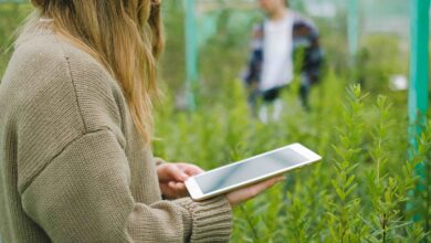 From Field Data to Better Decisions: Technology’s Role in Modern Agriculture Planning